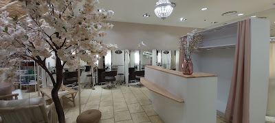 Art & Beauté/Marc Dugast Morpho-Coiffure Morpho-Conseil à Angers
