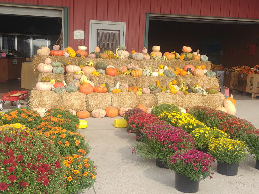 Produce Market «Mairet Farms», reviews and photos, 4707 U.S Hwy 61, Muscatine, IA 52761, USA