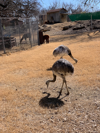 Zoo «Frank Buck Zoo», reviews and photos, 1000 W California St, Gainesville, TX 76240, USA