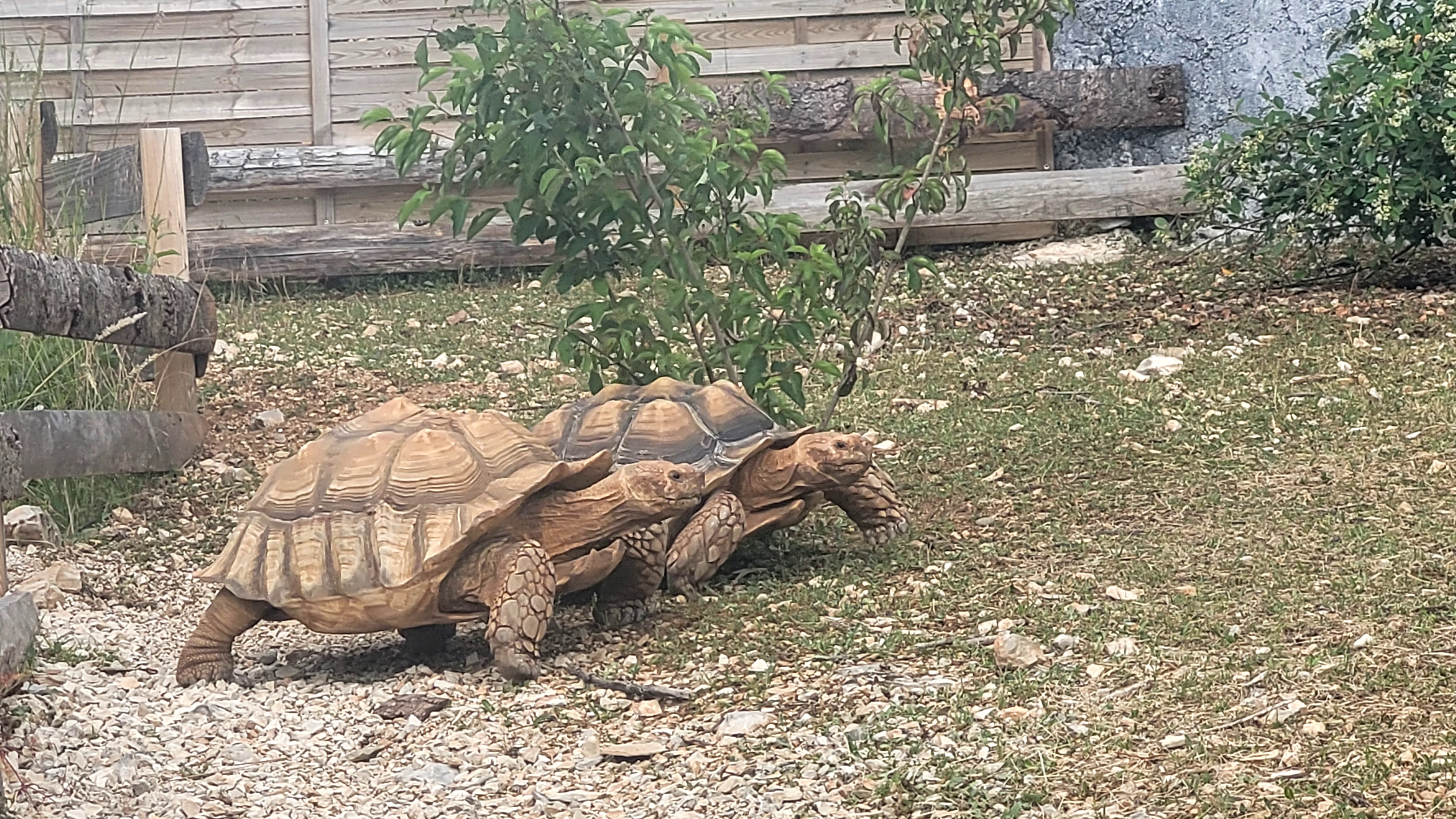 Photo n° 1 de l'avis de Anthony.e fait le 08/07/2023 à 20:58
