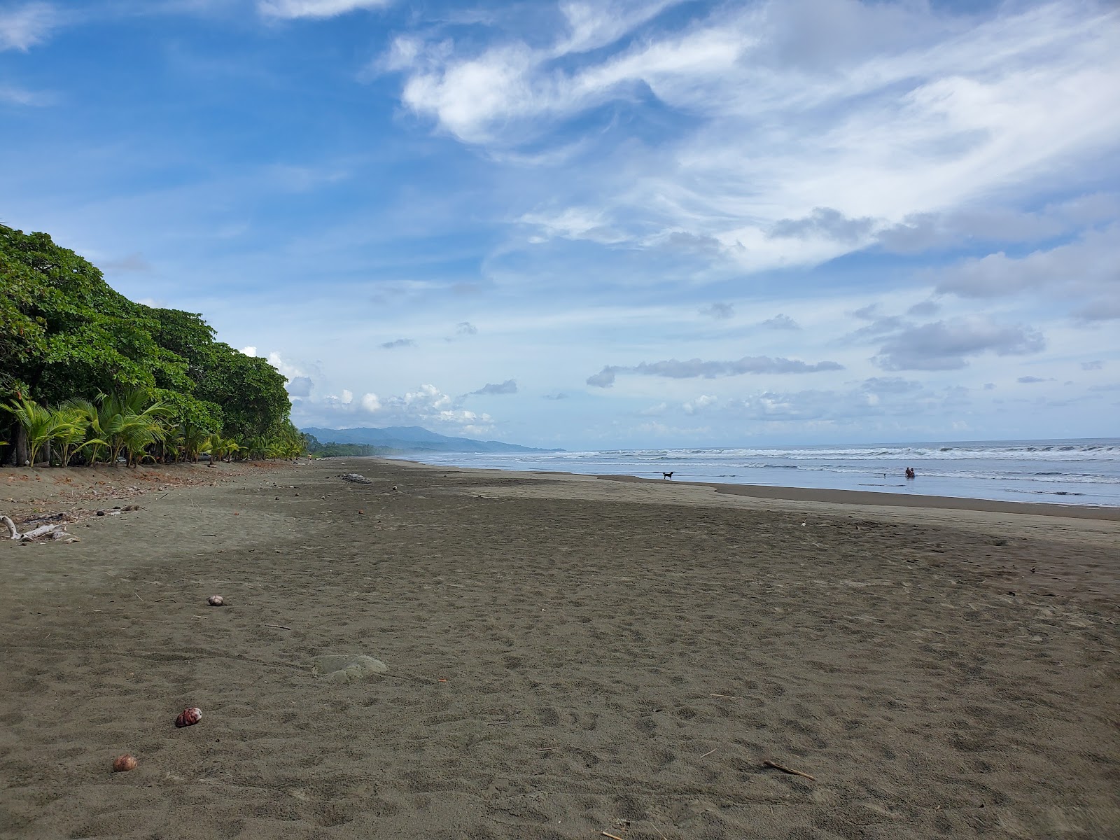 Playa Matapalo'in fotoğrafı vahşi alan