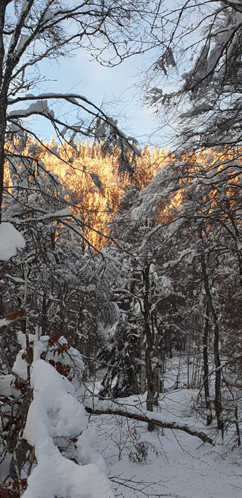 Photo n° 4 de l'avis de Sy. fait le 09/01/2021 à 19:58