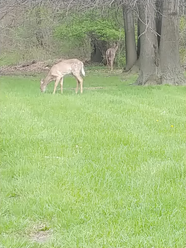 Hotel «Cleveland Airport Marriott», reviews and photos, 4277 W 150th St, Cleveland, OH 44135, USA