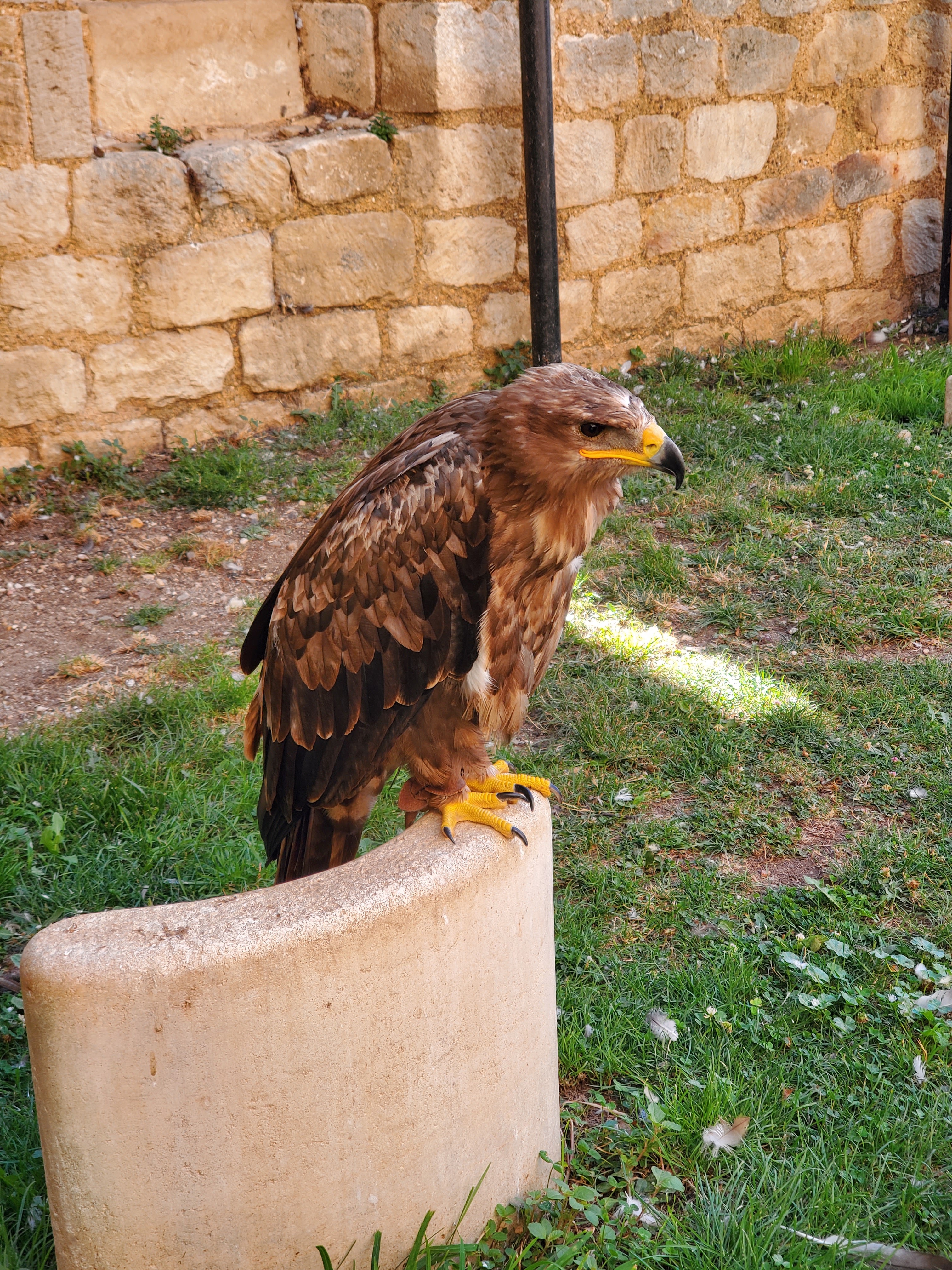 Photo n° 10 de l'avis de Aurore.A fait le 17/08/2023 à 11:48