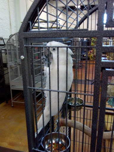 Bird Shop «The Aviary at Cauley Square», reviews and photos, 22400 Old Dixie Hwy, Miami, FL 33170, USA