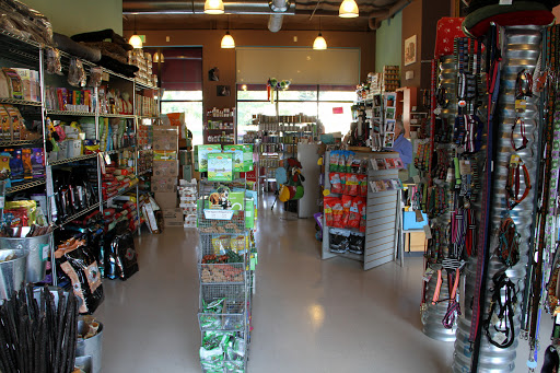 Nutzy Mutz & Crazy Catz