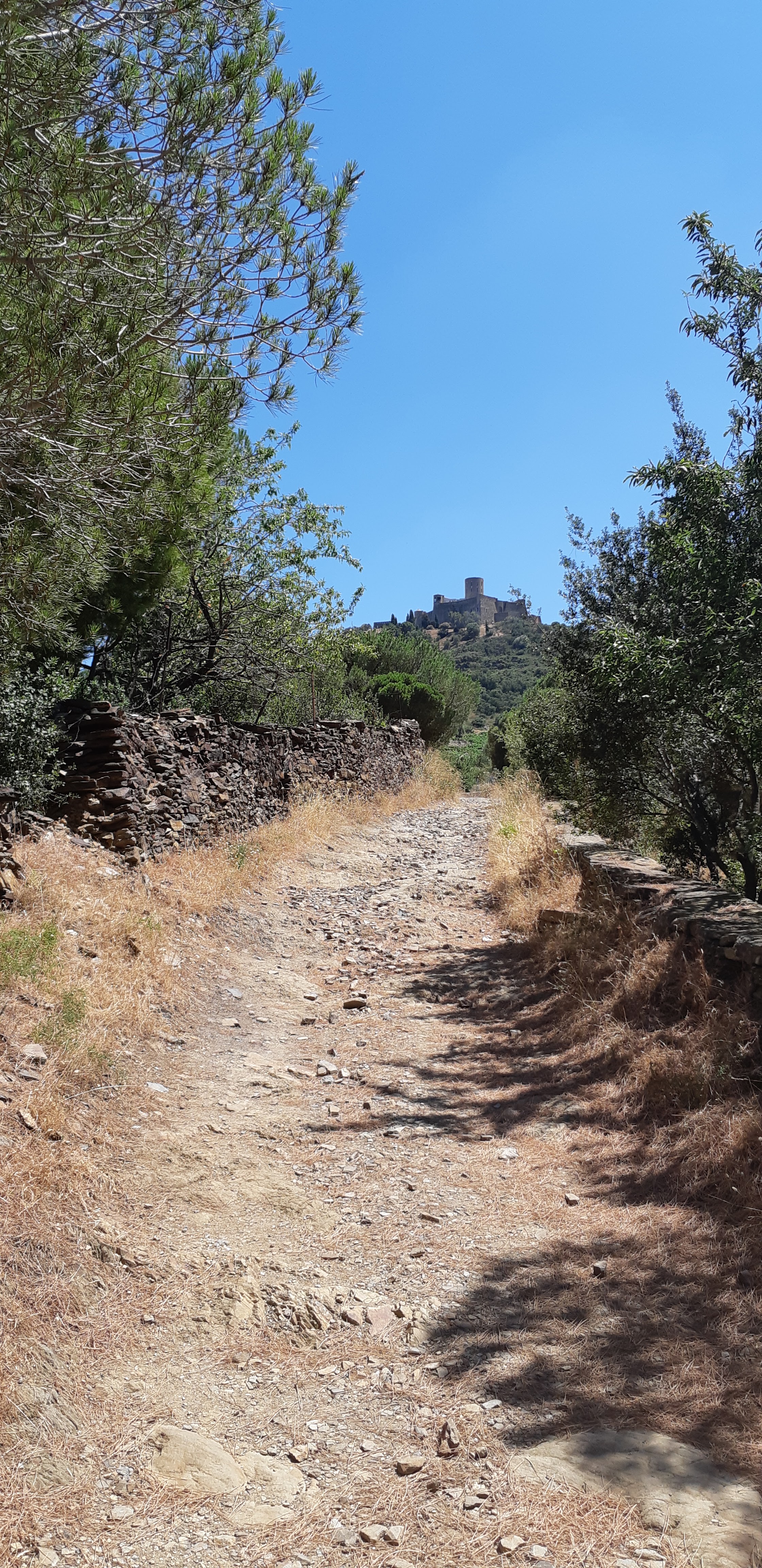 Photo n° 2 de l'avis de Cyp. fait le 10/07/2019 à 16:09