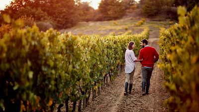 Wine Paths à Bordeaux