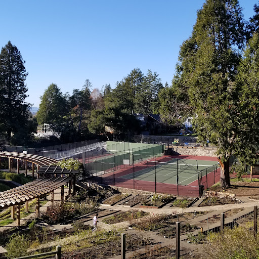 Tennis court construction company Berkeley