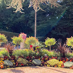 Photo n° 4 de l'avis de Sonia.o fait le 16/08/2022 à 16:49 pour Jardin des Plantes de Coutances à Coutances