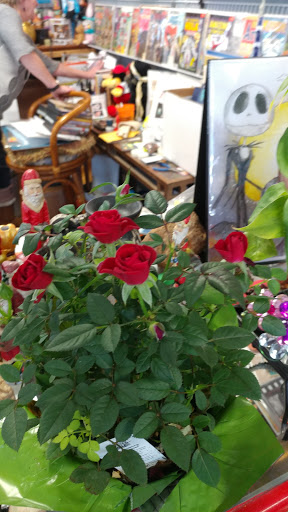 Comic Book Store «Bigfoot Comics», reviews and photos, 3121 W Chain of Rocks Rd, Granite City, IL 62040, USA