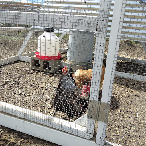 Grocery Store «Grocery Outlet Bargain Market», reviews and photos, 331 N Capitol Ave B, San Jose, CA 95133, USA