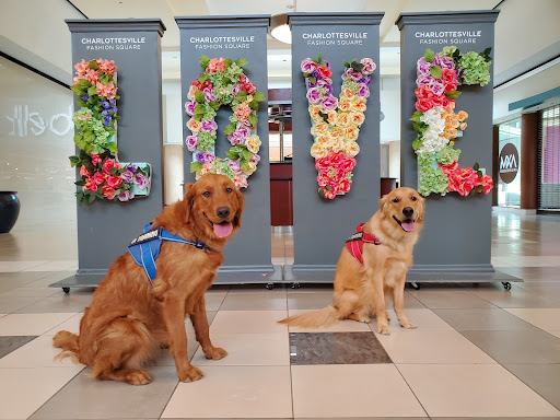 Dog Trainer «Off Leash K9 Training, Charlottesville», reviews and photos, 8782 Seminole Trail, Ruckersville, VA 22968, USA