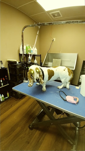 Pet Store «Pet Valu», reviews and photos, 2645 Shillington Rd, Sinking Spring, PA 19608, USA