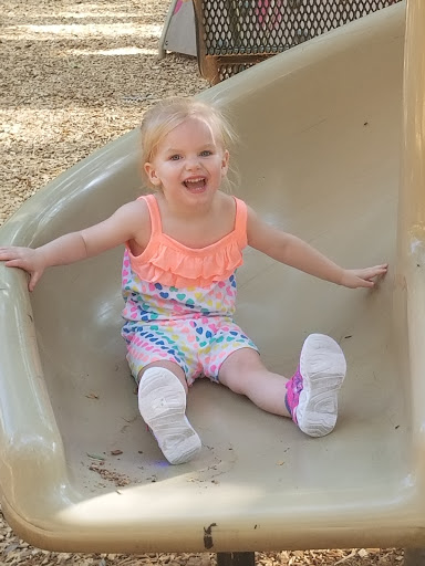 Cafe «Hillsborough State Park Poolside Cafe», reviews and photos, 15402 U.S. 301, Thonotosassa, FL 33592, USA