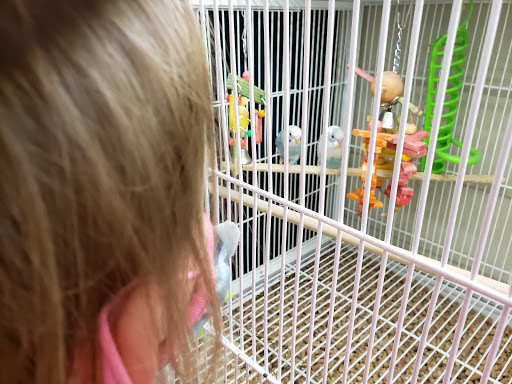 Pet Supply Store «Pet Supplies Plus», reviews and photos, 5092 Mayfield Rd, Lyndhurst, OH 44124, USA