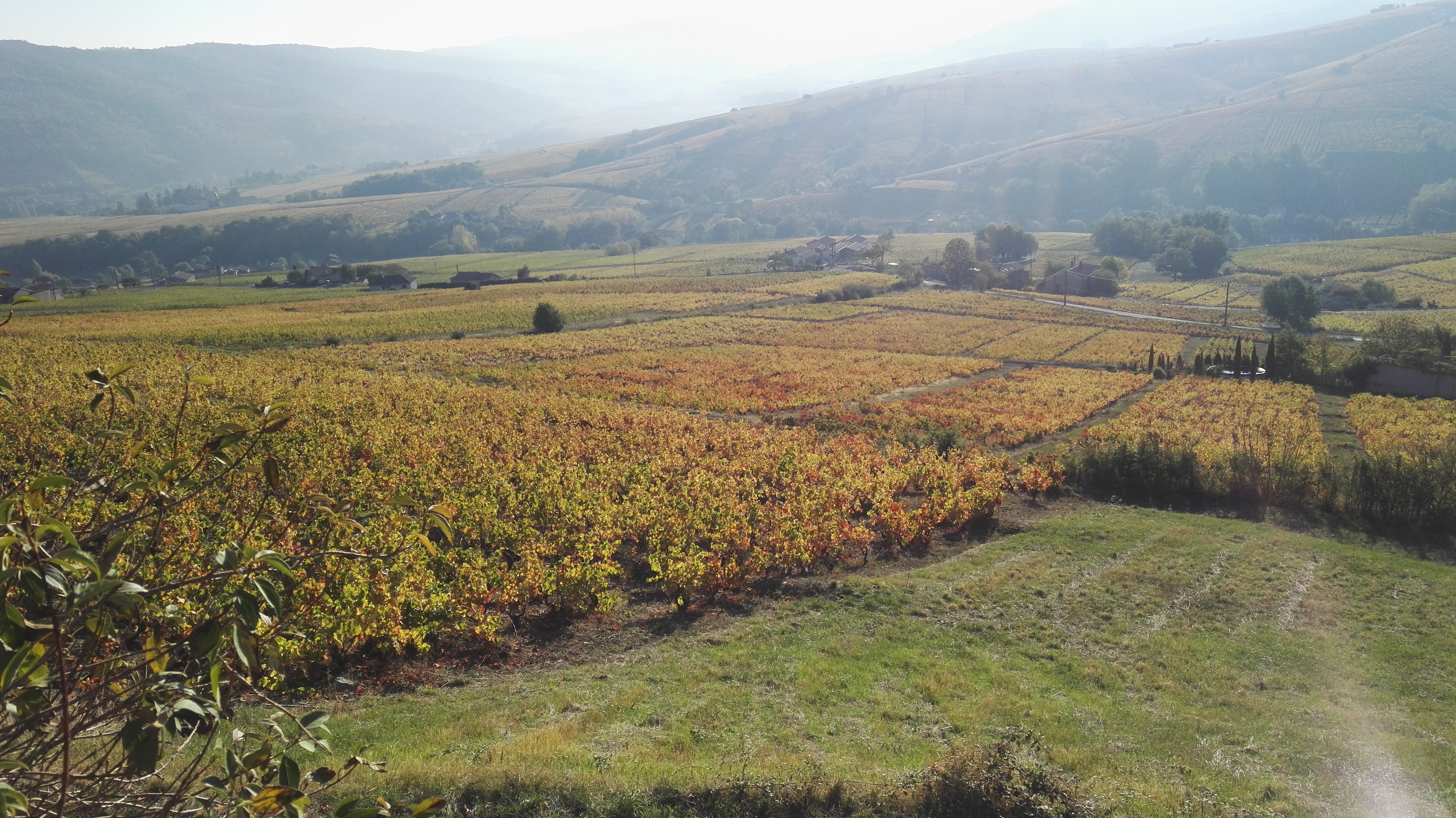 Photo n° 6 de l'avis de Christophe.e fait le 21/10/2018 à 18:48