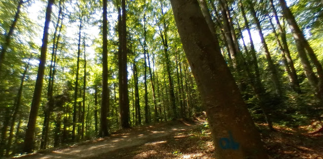 Vitaparcours Scherzingen-Münsterlingen