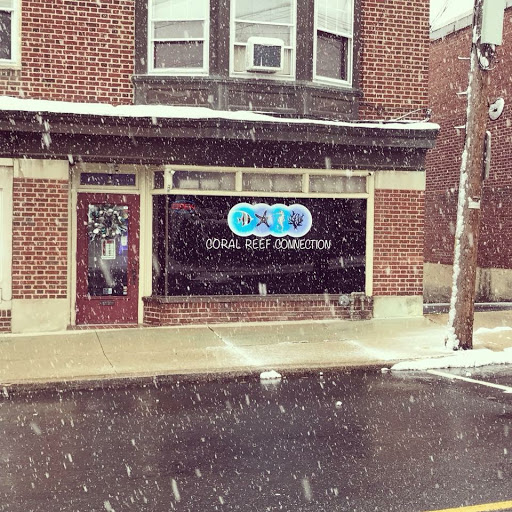 Pet Store «Coral Reef Connection», reviews and photos, 15 Woodrow Ave, Sinking Spring, PA 19608, USA
