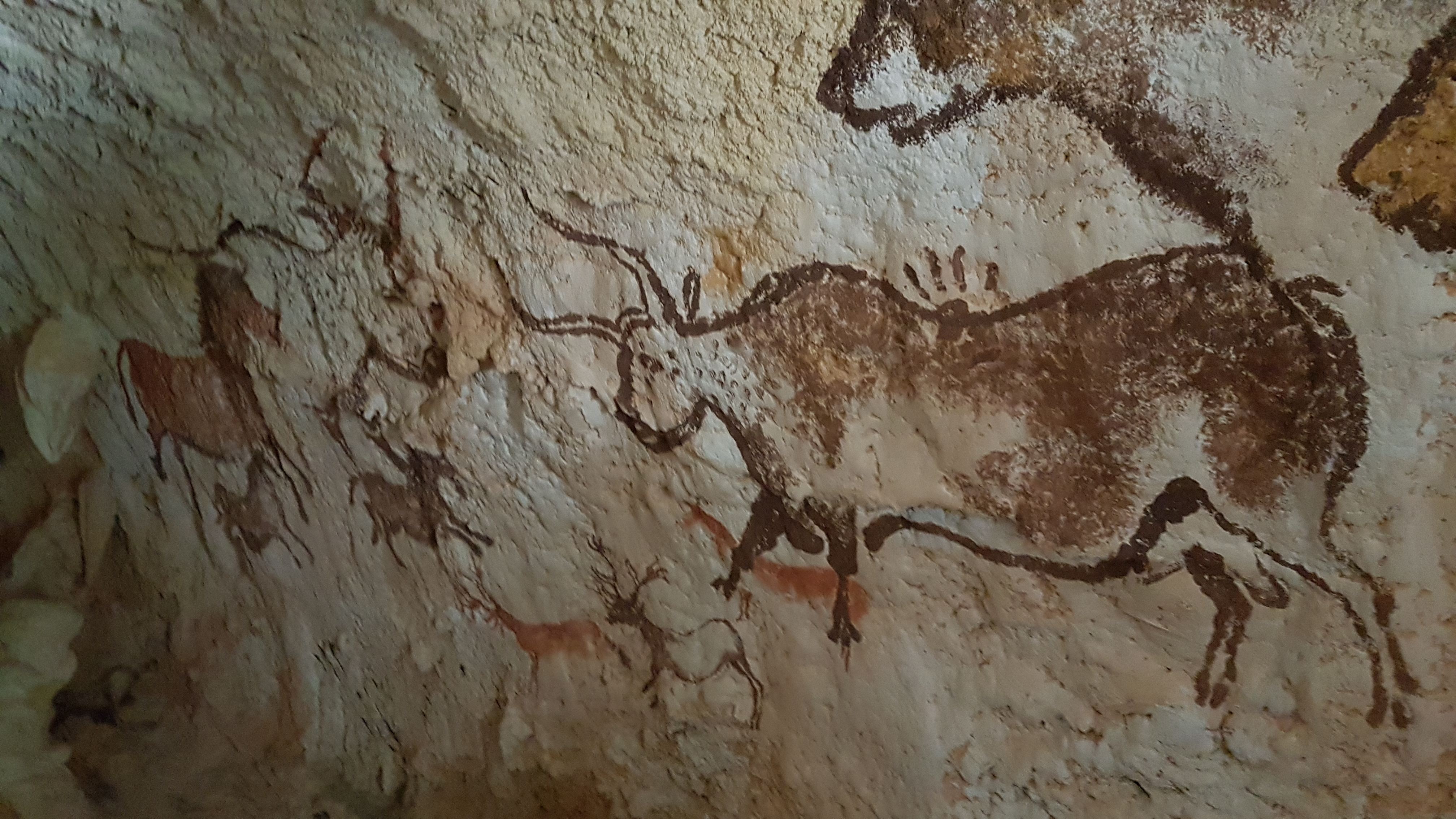 Photo n° 5 de l'avis de TonTon.e fait le 26/08/2018 à 21:52