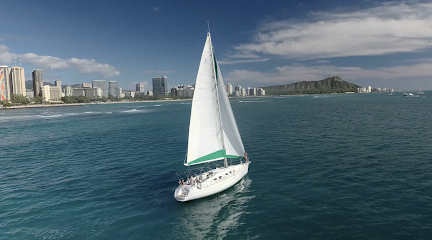 Seas The Day Honolulu LLC