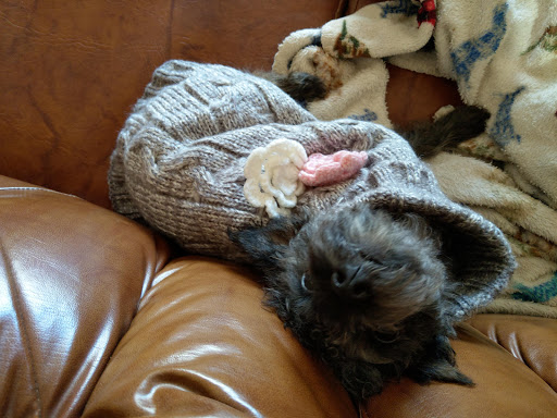 Pet Supply Store «PetSmart», reviews and photos, 279 E Fairmount Ave, Lakewood, NY 14750, USA