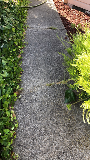 Peninsula Exterior Cleaning image