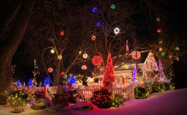 Opinii despre GroundCare Lawn Mowing în Pukekohe East - Landscaper