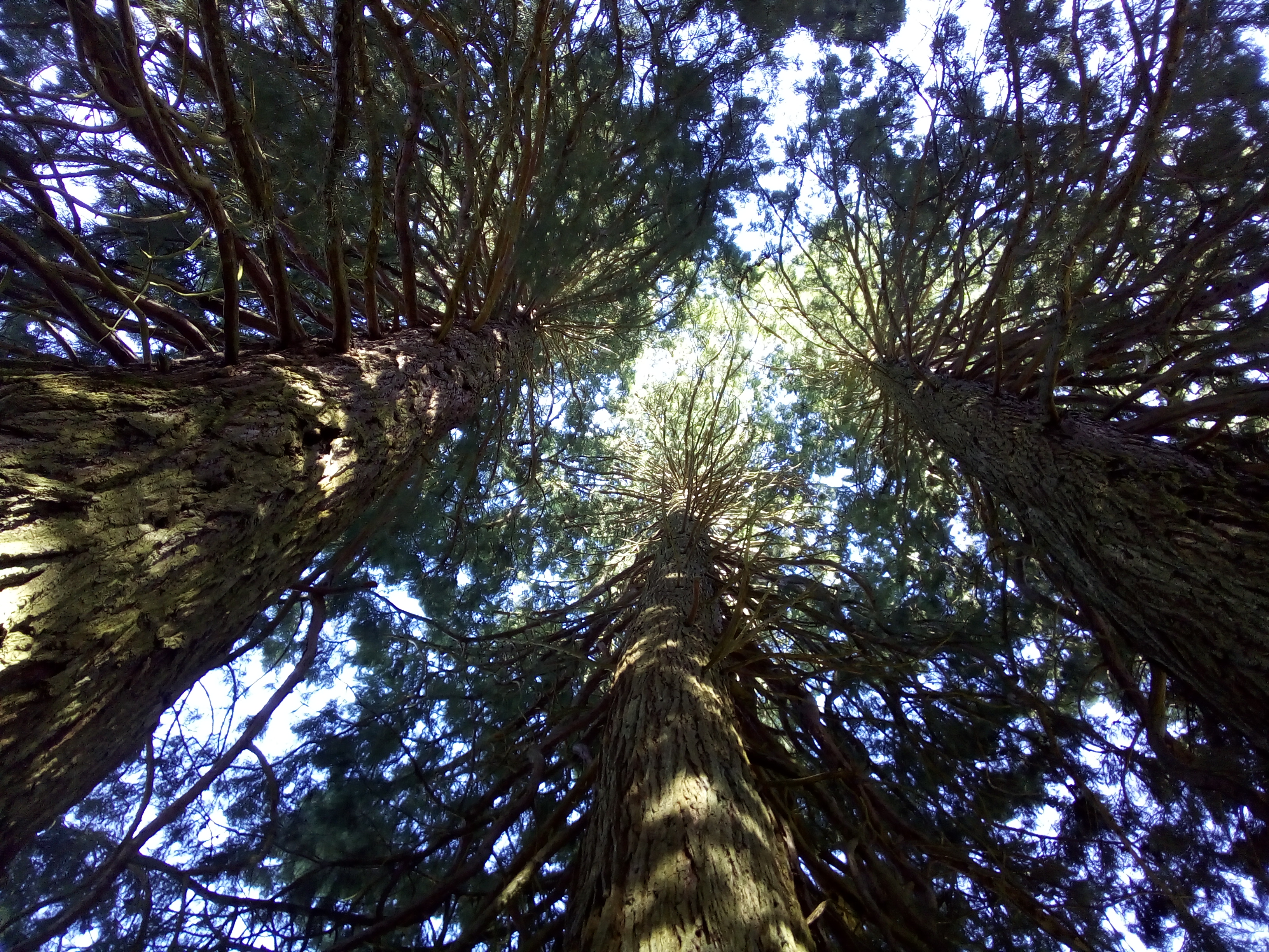 Photo n° 2 de l'avis de Benoît.o fait le 21/08/2018 à 14:53