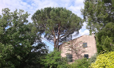 Najagage à Marseille