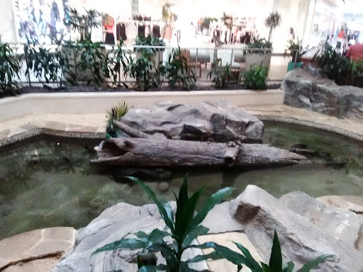 Shopping Mall «Mall St. Vincent», reviews and photos, 1133 St Vincent Ave #200, Shreveport, LA 71104, USA