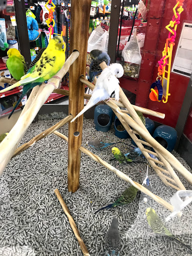 Pet Supply Store «Petco Animal Supplies», reviews and photos, 1060 U.S. 9, Parlin, NJ 08859, USA
