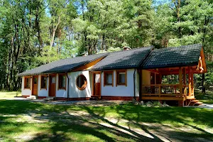 3pokoje - domki wśród drzew na Roztoczu w lesie image