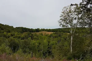 Mapleton Acadian Forest Trail image