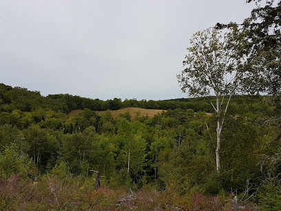 Mapleton Acadian Forest Trail