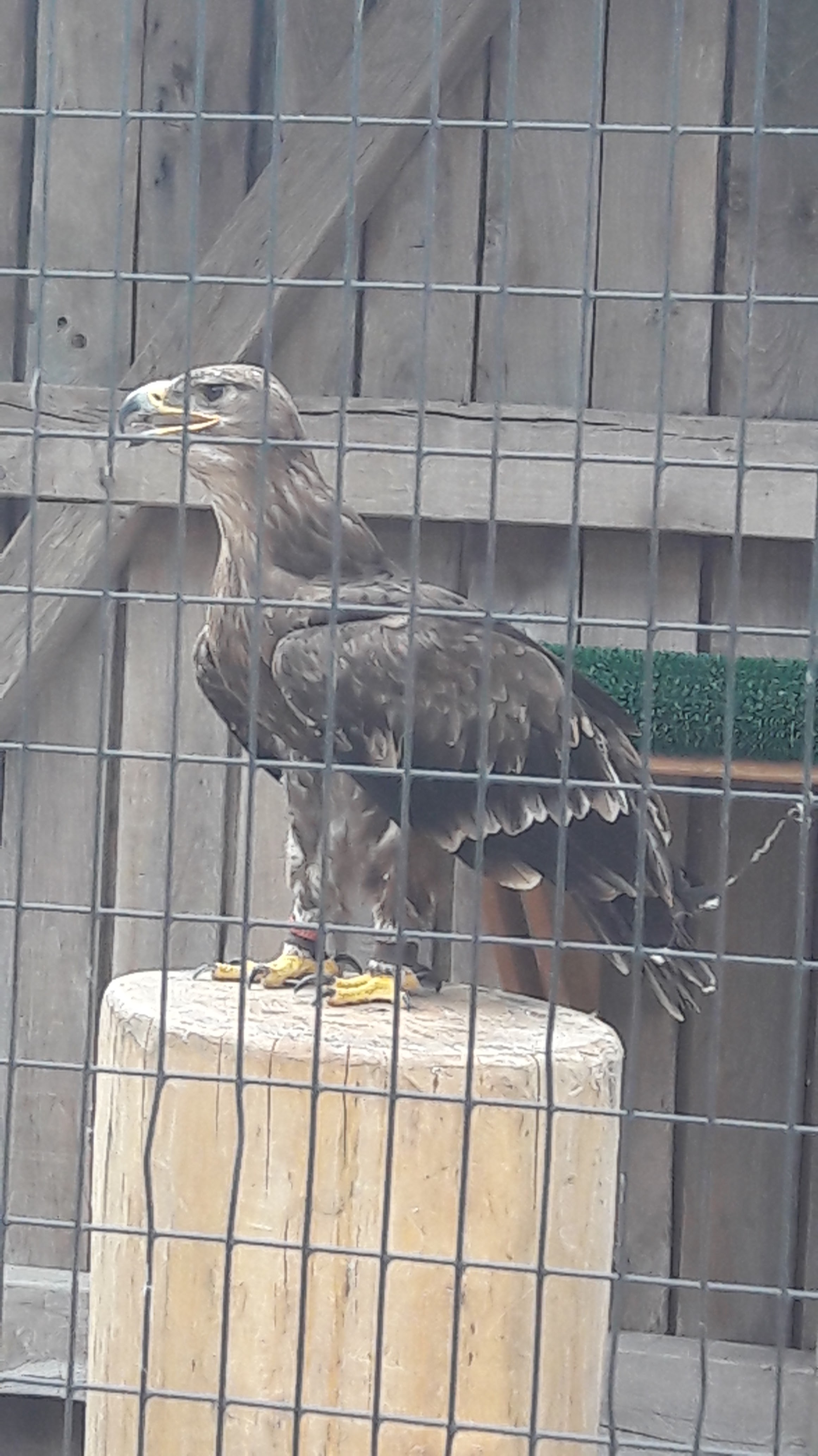 Photo n° 16 de l'avis de Lise.e fait le 14/07/2018 à 16:26