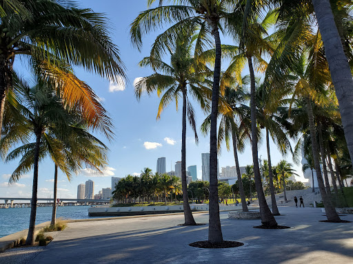 Park «Museum Park», reviews and photos, 1075 Biscayne Blvd, Miami, FL 33132, USA