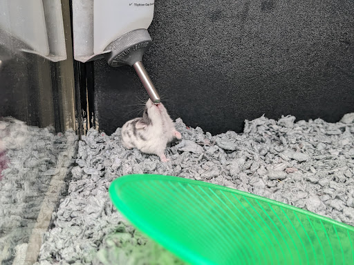 Pet Supply Store «PetSmart», reviews and photos, 208 Mariner Way, Biddeford, ME 04005, USA