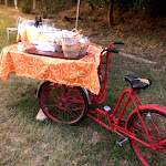 Photo n°4 de l'avis de handsfly.a fait le 26/06/2021 à 06:03 sur le  Ristorante Carosello à Pianoro