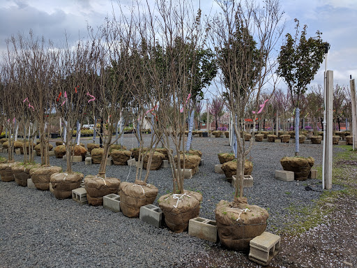 Lawn Mower Store «Central Jersey Nurseries Mower», reviews and photos, 18 Hamilton Rd, Hillsborough Township, NJ 08844, USA