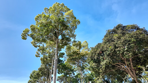 Top 20 cửa hàng ikonic Huyện Thoại Sơn An Giang 2022