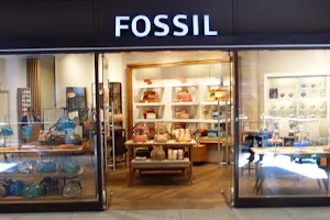 Fossil Store Belfast image