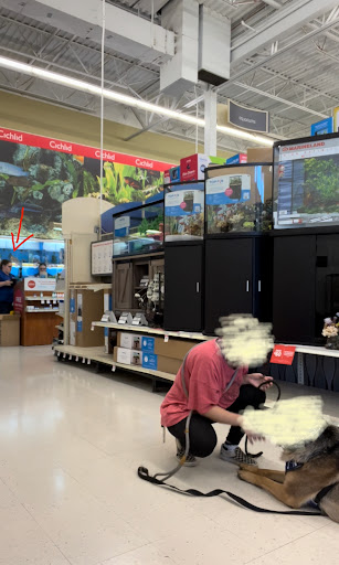 Pet Supply Store «PetSmart», reviews and photos, 278 New Britain Ave, Plainville, CT 06062, USA