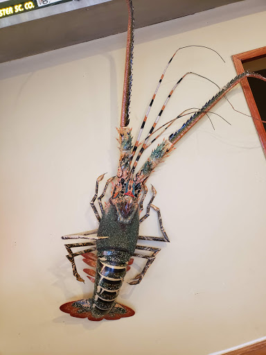 Grocery Store «Schnucks», reviews and photos, 3900 Vogel Rd, Arnold, MO 63010, USA