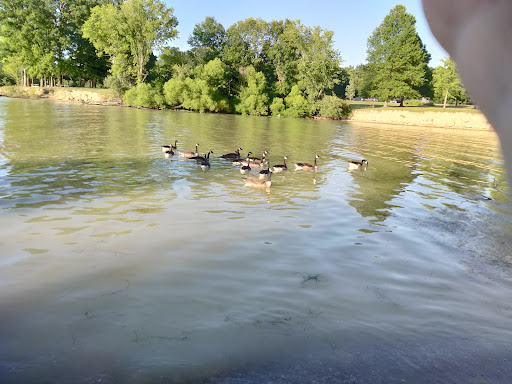 Tourist Attraction «West Branch State Park Beach», reviews and photos, Esworthy Rd, Ravenna, OH 44266, USA