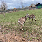 Photo n°2 de l'avis de Fabiola.a fait le 10/03/2023 à 15:20 sur le  Landhaus Klosterwald Betriebs GmbH à Lich