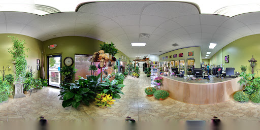 Florist «Carrollwood Florist», reviews and photos, 11745 N Dale Mabry Hwy, Tampa, FL 33618, USA