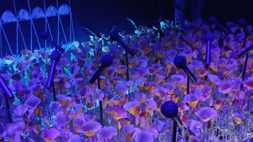 Art Museum «Museum Of Contemporary Art Chicago», reviews and photos, 220 E Chicago Ave, Chicago, IL 60611, USA