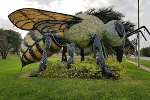 Worlds Largest Killer Bee image