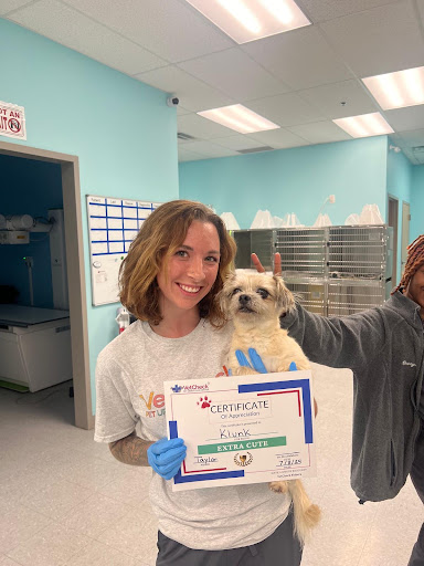 VetCheck Pet Urgent Care Center - Fishers IN image